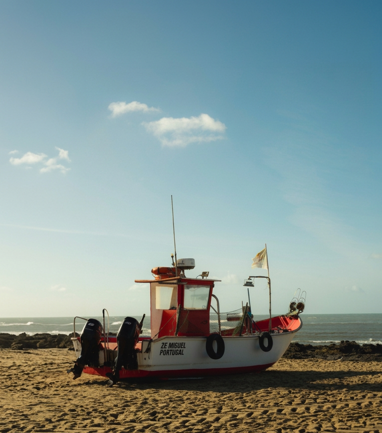 Barco Comitiva Portugal